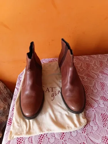 Bota mr cat'girl.