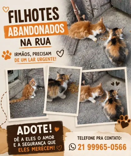 Adoção 