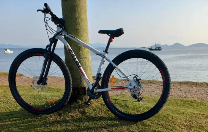 Bicicleta caloi vucan aro 29