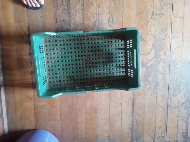 Caixa plástica