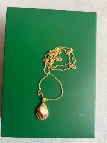 Colar Banhada a Ouro