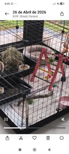 Cercado pet