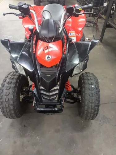 Quadriciclo ds 250 c