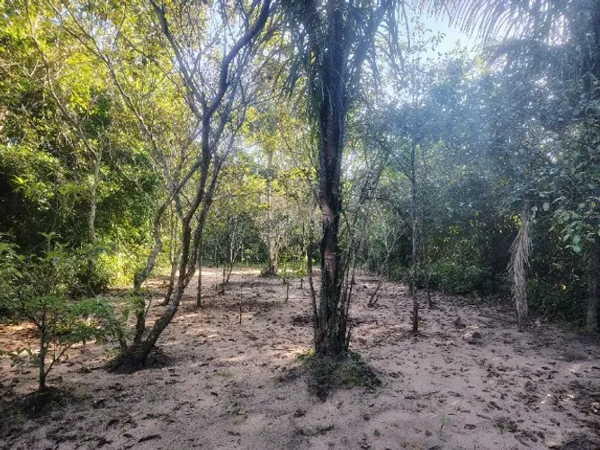 Terreno em São Caetano de Odivelas 11x74