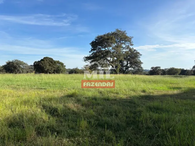 Fazenda 190 alqueires (919 hectares) Mineiros - GO