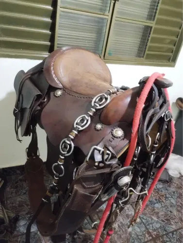 Cela de Cavalo Completa