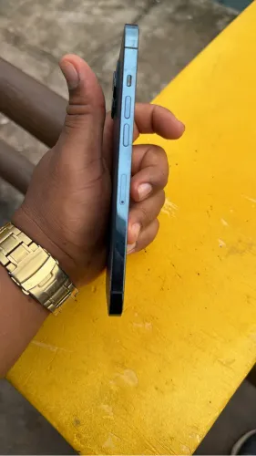 iPhone 12 Pro Max 256