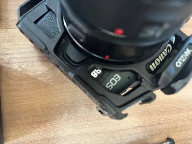 Canon R8