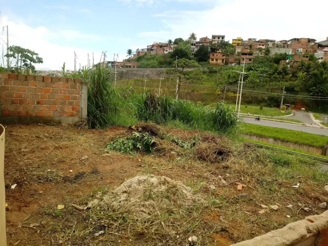 Terreno