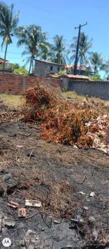 Vendas de lotes na ilha de Aratuba
