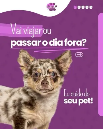 Cuidadora de Pet 