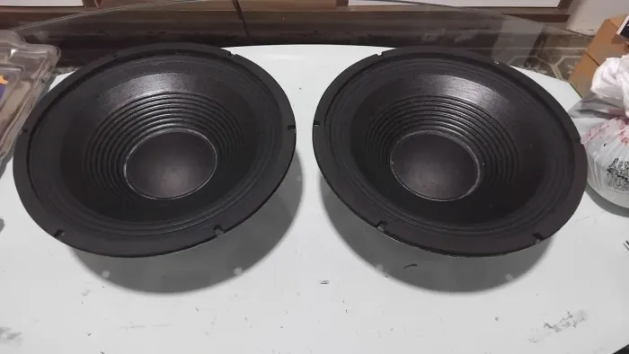 PAR: Alto-Falantes 12"