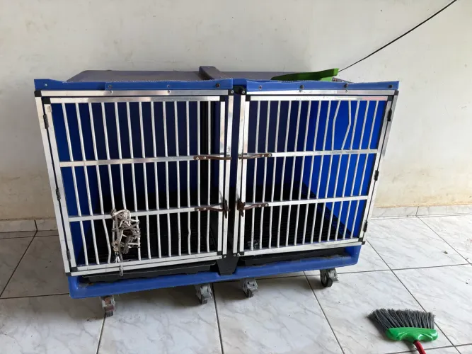 Baia para cães ou outros animais 