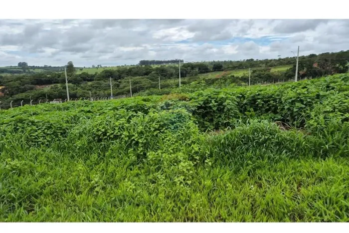 Terreno no Bairro Monte Carlo 2 - quadra D Lote 1: 360m² de Oportunidade