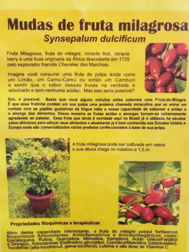 Fruta Milagrosa 