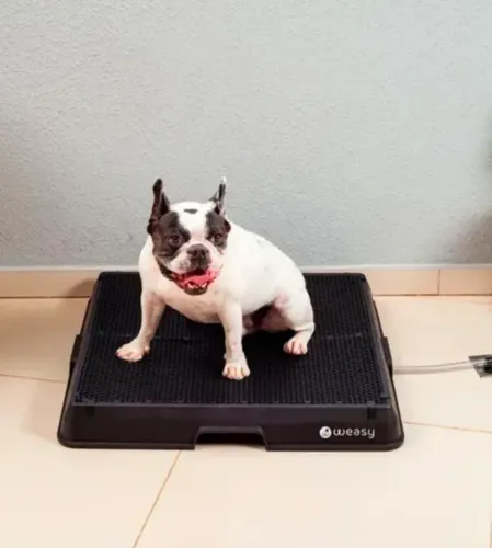 Banheiro Pet-Weasy (com bag)