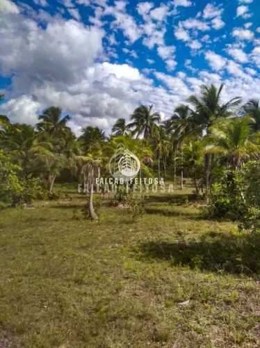 Fazenda à venda em Porto de Sauípe