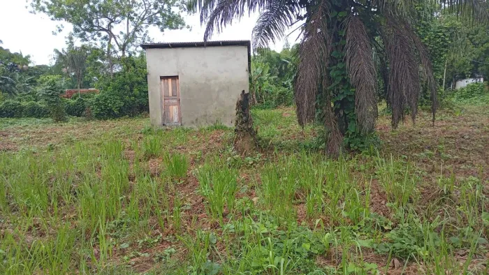 Terreno e casa em Mosqueiro 