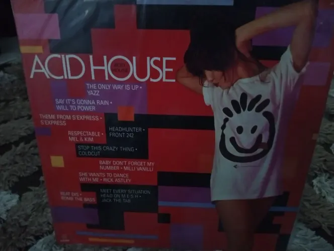 Disco Vinil Acid House