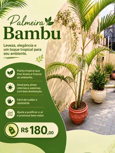 Planta Palmeira Bambu