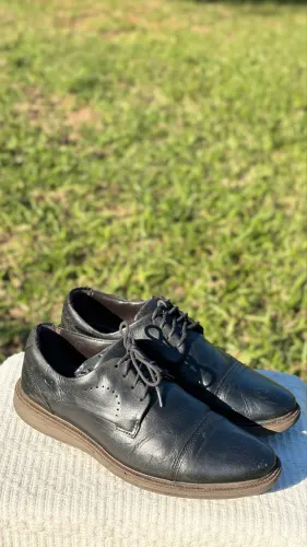 Sapato democrata n42