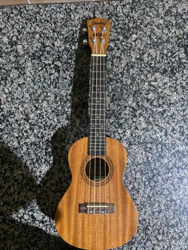 UKULELE CONCERT
