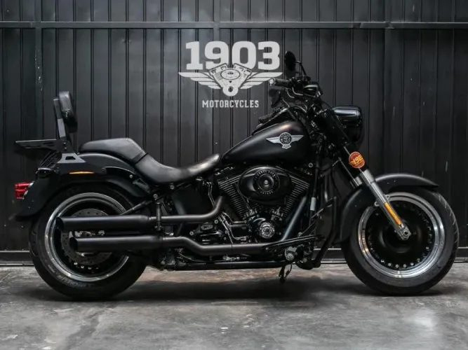 HARLEY-DAVIDSON FLSTFB 2014