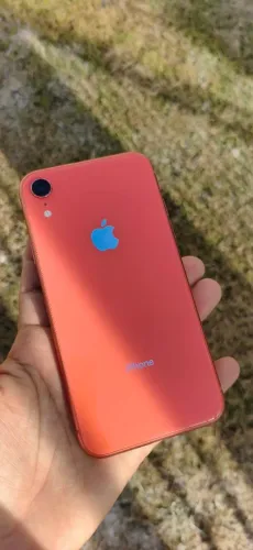 iPhone XR