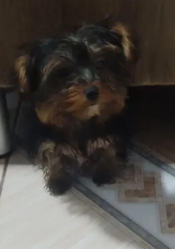 Vende-se 