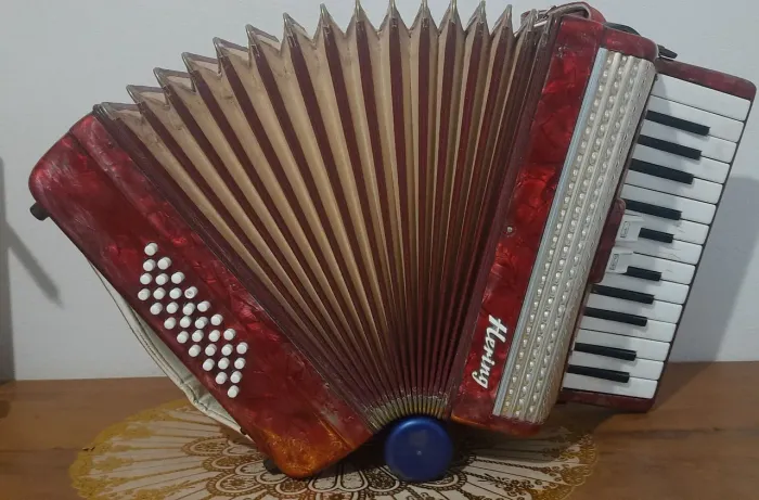 Acordeon Hering 32 baixos