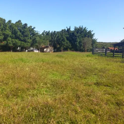 Vendo fazenda 81 hectares em Unai MG