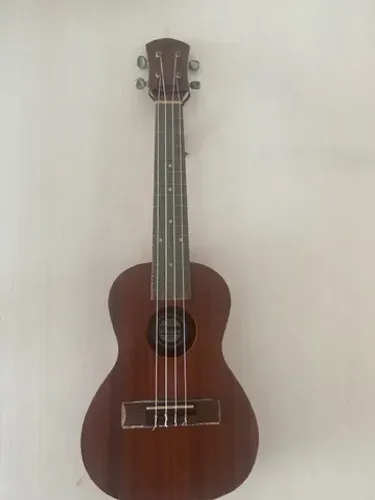 Ukulele winner