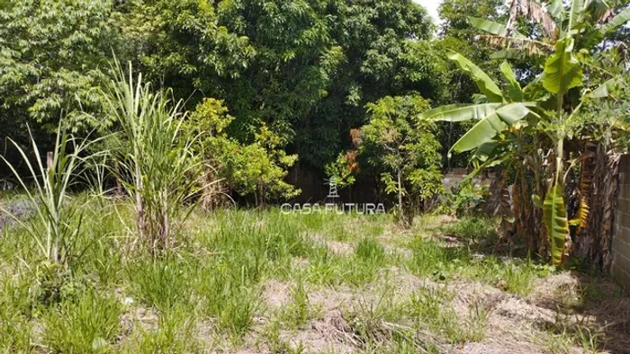 Terreno à venda, 280 m² por R$ 115.000,00 - Arrozal - Piraí/RJ