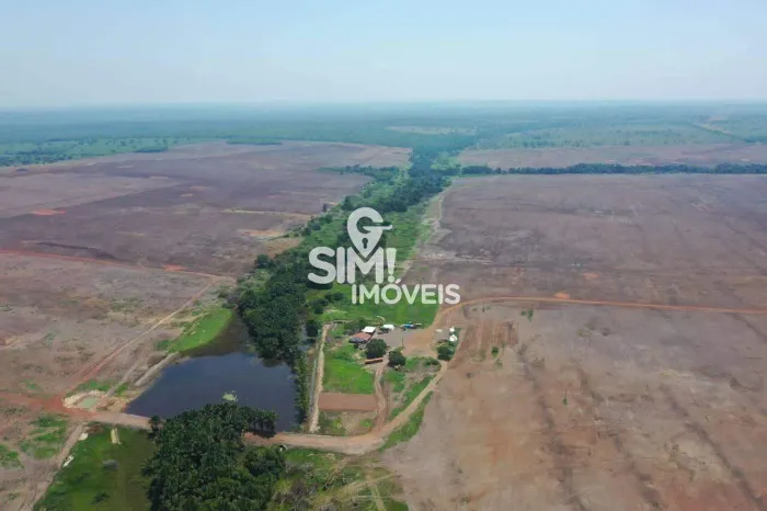 FAZENDA PRODUZINDO GRÃOS EM CRISTALANDIA-TO