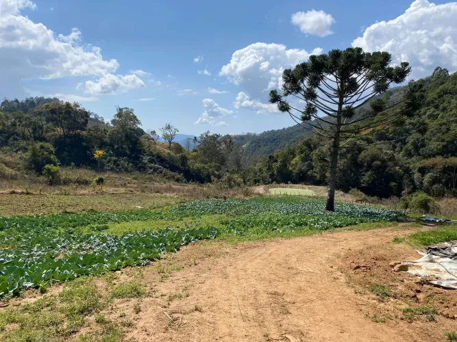 Terreno para venda com 26.000 metros quadrados em Zona Rural - Delfim Moreira - Sul de Min