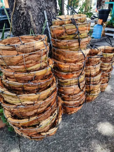 Vasos de fibra de coco para plantas