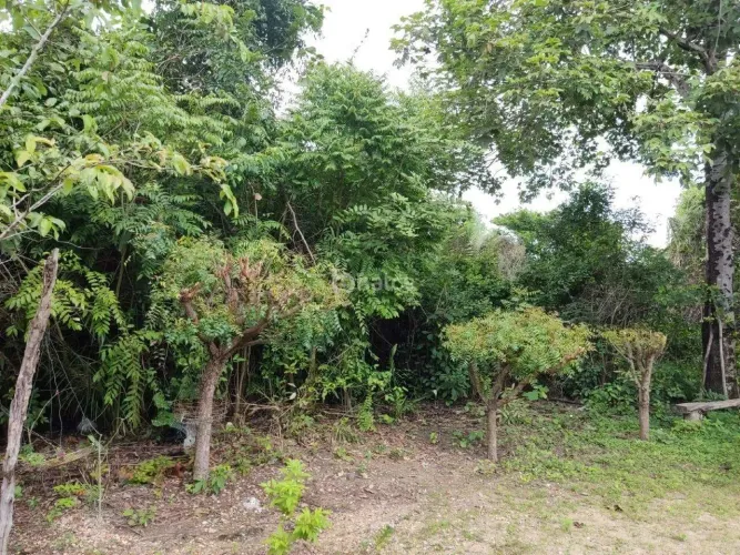 Lote/Terreno à venda, no bairro Socopo, Teresina/PI