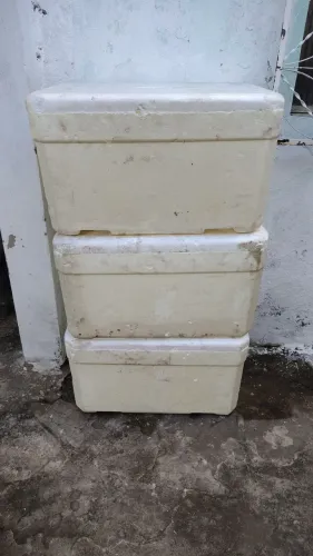 Caixas Térmicas de Isopor tamanhos variados