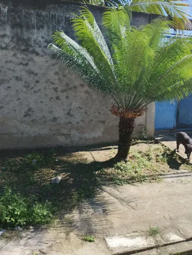 Lote - 8X15= 120m² - Fração de terreno.