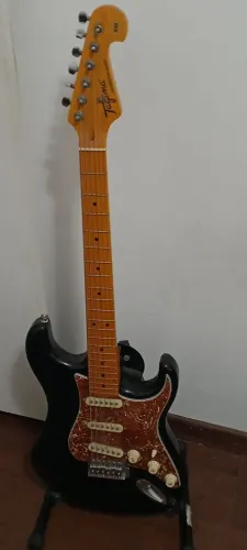 Guitarra Tagima Woodstock Series Stratocaster