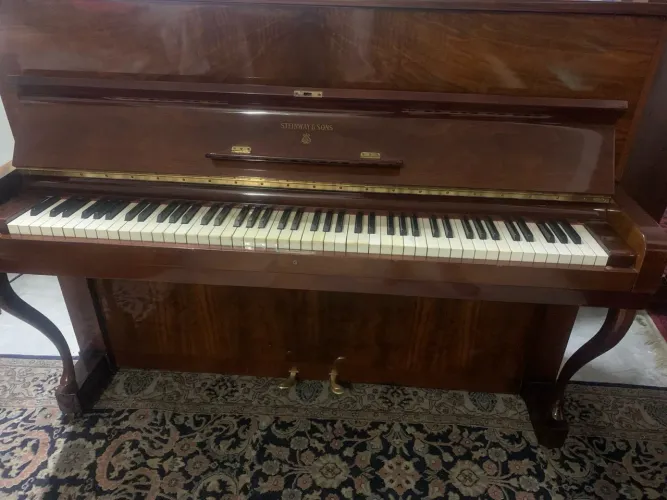 Piano Steinway & Sons Mod ( Z ) Instrumento Ideal P/ Orquestras 