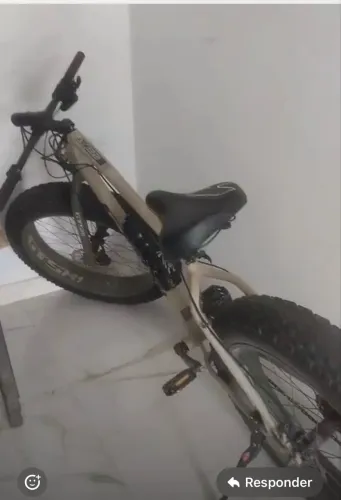 Bicicleta 