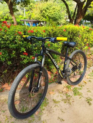 Caloi expert aro 29 
