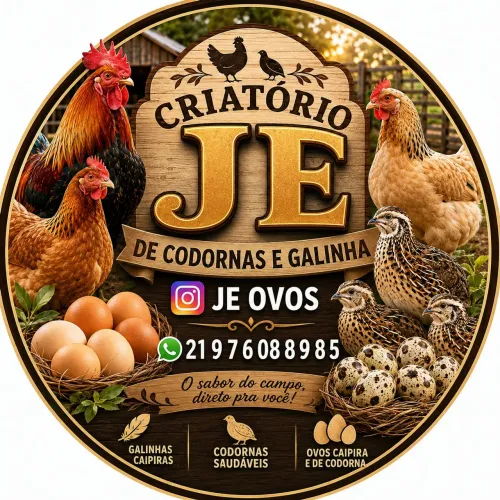 Ovos fértil 