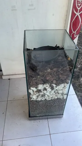 Vaso de vidro