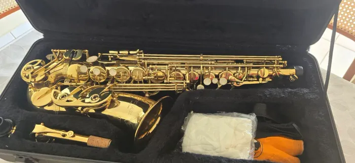 Saxofone alto, Michael excelente estado