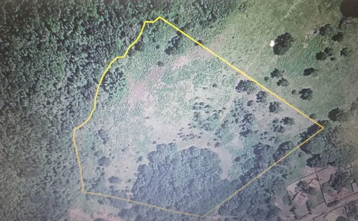 VENDE-SE 1 ALQUEIRE MINEIRO DE TERRA - UBERABA/MG