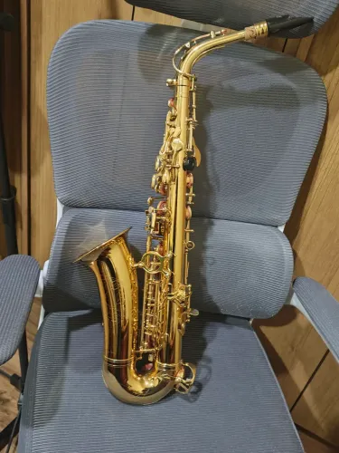 Vendo lindo sax alto Everton First seminovo em ótimo estado!