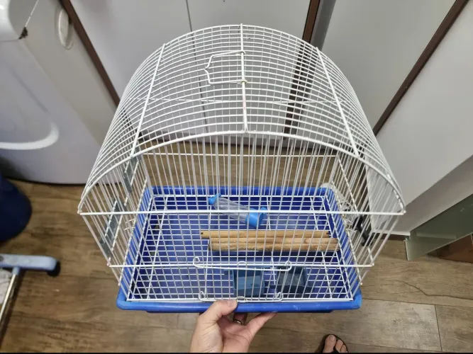 Gaiola Para Calopsita, Canário Belga E Periquito + Acessórios