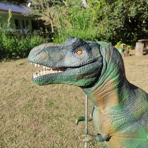 Coleção completa t-rex - 80 fascículos